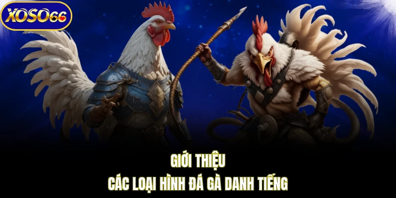 Giới thiệu các loại hình chọi kê danh tiếng trên XOSO66